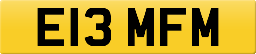 E13MFM