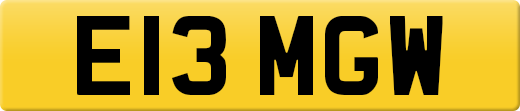 E13MGW