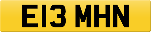 E13MHN