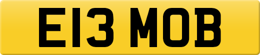 E13MOB