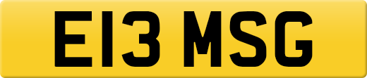 E13MSG