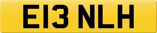 E13NLH