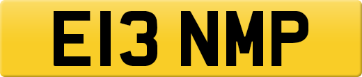 E13NMP