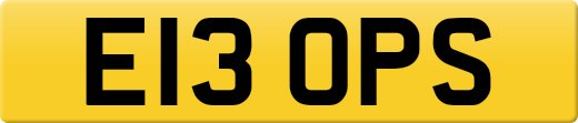 E13OPS