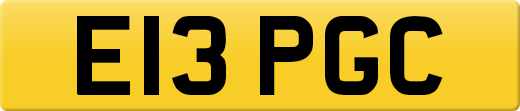E13PGC