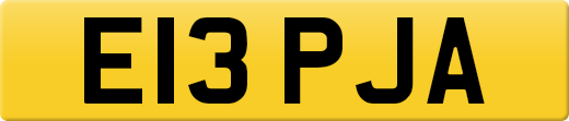 E13PJA