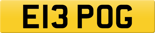 E13POG