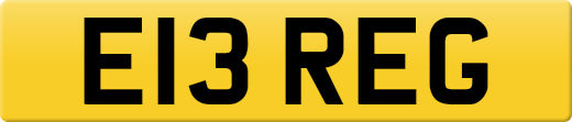 E13REG