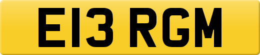E13RGM