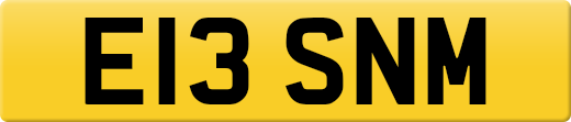 E13SNM