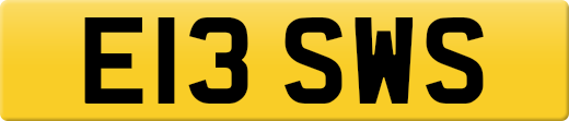 E13SWS