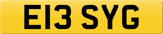 E13SYG
