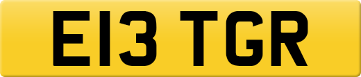 E13TGR