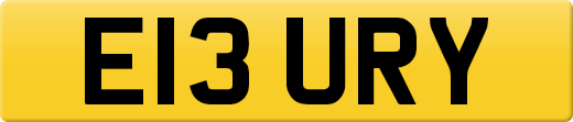 E13URY