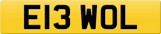 E13WOL
