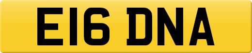 E16DNA