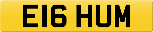 E16HUM
