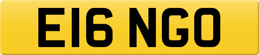 E16NGO