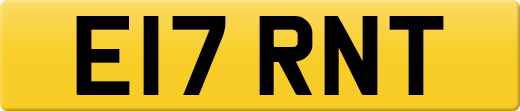 E17RNT