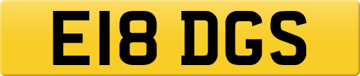 E18DGS