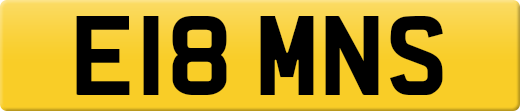 E18MNS