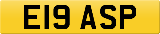 E19ASP
