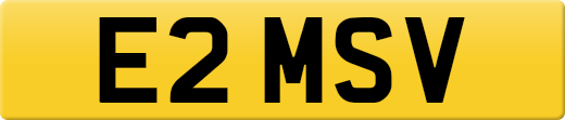 E2MSV
