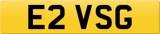 E2VSG