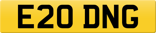 E20DNG