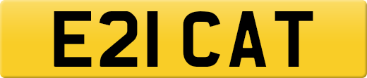 E21CAT