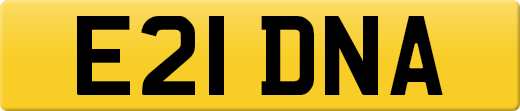 E21DNA