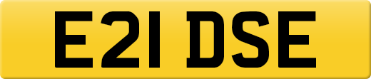 E21DSE