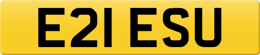 E21ESU
