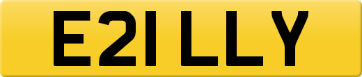 E21LLY