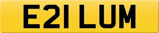 E21LUM
