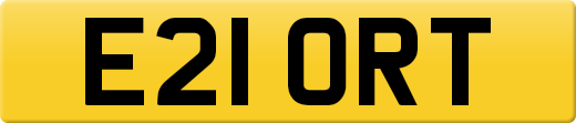 E21ORT