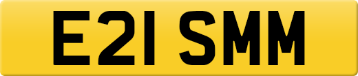 E21SMM