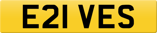 E21VES