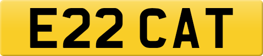 E22CAT