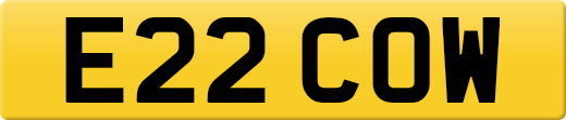 E22COW