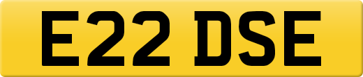 E22DSE