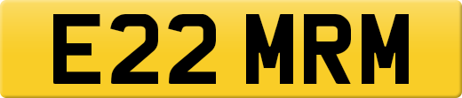 E22MRM