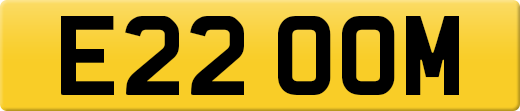 E22OOM