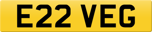 E22VEG