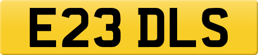 E23DLS