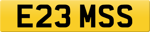 E23MSS