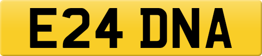 E24DNA