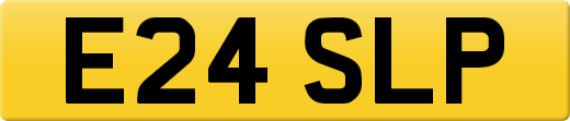 E24SLP