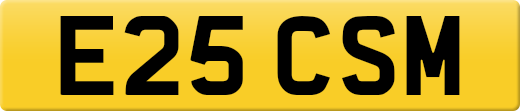 E25CSM