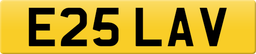 E25LAV